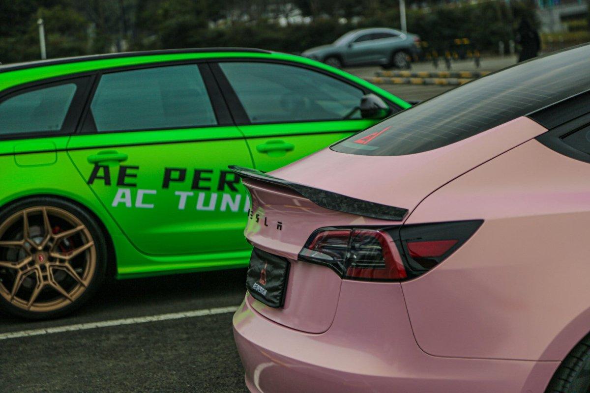 Tesla Model 3 2017 2018 2019 2020 2021 2022 2023 with Aftermarket Parts - AE Style? Rear Spoiler Carbon Fiber from ArmorExtend