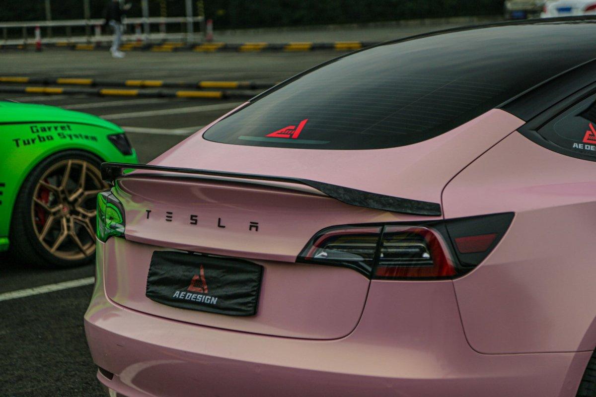 Tesla Model 3 2017 2018 2019 2020 2021 2022 2023 with Aftermarket Parts - AE Style? Rear Spoiler Carbon Fiber from ArmorExtend