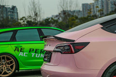 Tesla Model 3 2017 2018 2019 2020 2021 2022 2023 with Aftermarket Parts - AE Style? Rear Spoiler Carbon Fiber from ArmorExtend