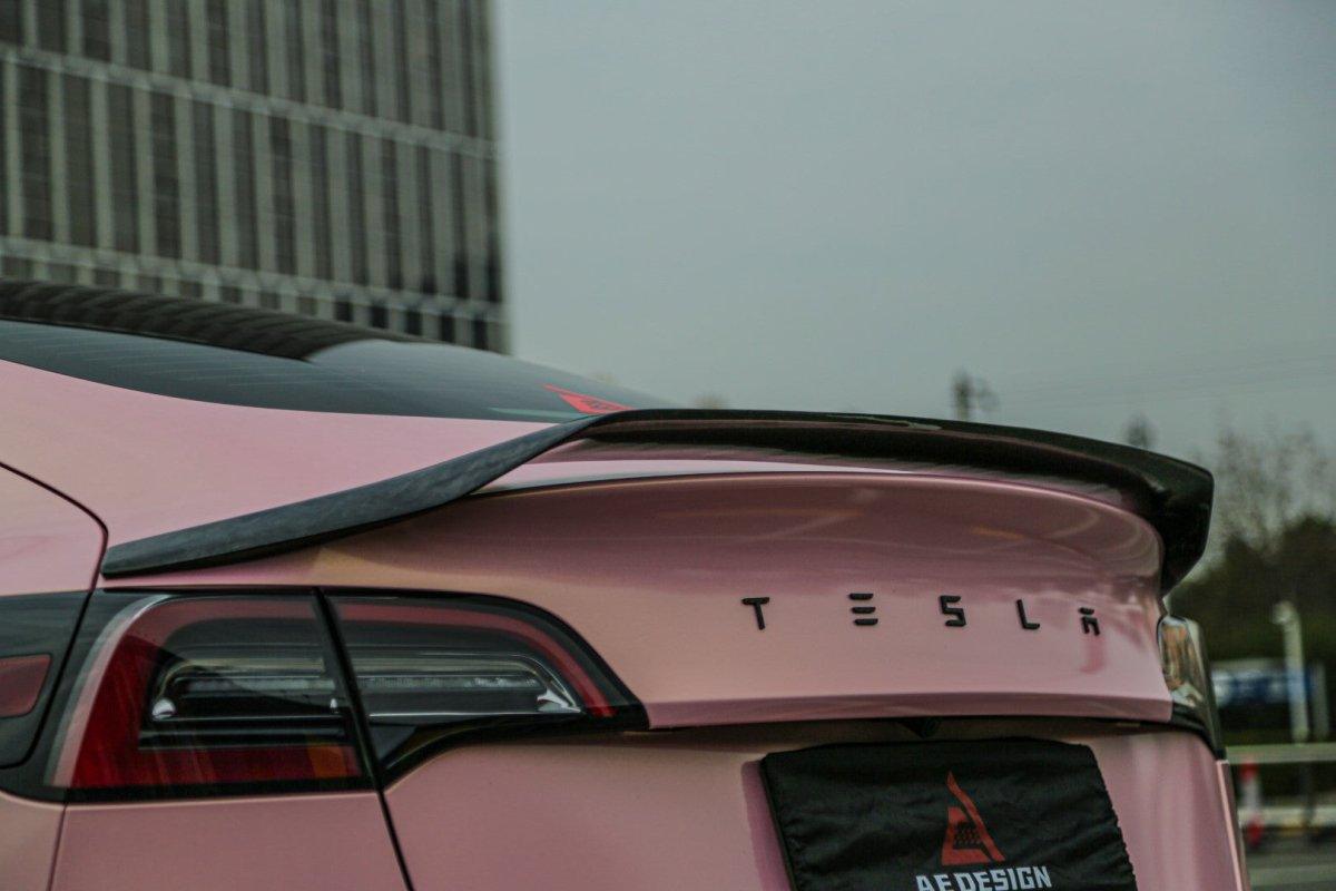 Tesla Model 3 2017 2018 2019 2020 2021 2022 2023 with Aftermarket Parts - AE Style? Rear Spoiler Carbon Fiber from ArmorExtend