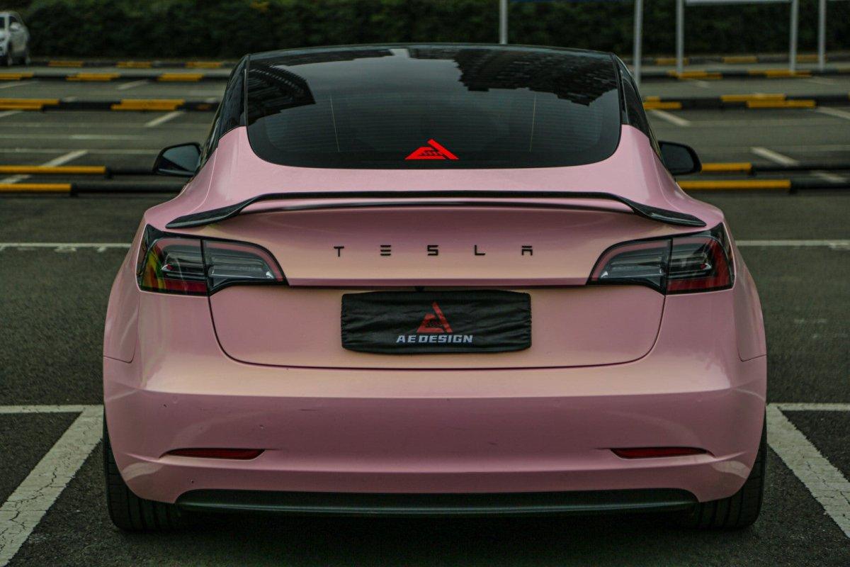 Tesla Model 3 2017 2018 2019 2020 2021 2022 2023 with Aftermarket Parts - AE Style? Rear Spoiler Carbon Fiber from ArmorExtend