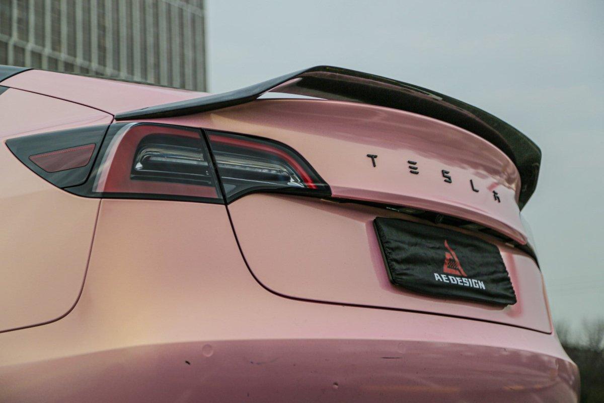 Tesla Model 3 2017 2018 2019 2020 2021 2022 2023 with Aftermarket Parts - AE Style? Rear Spoiler Carbon Fiber from ArmorExtend