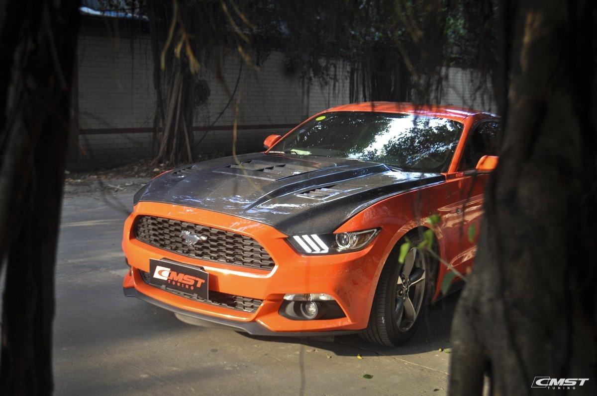 Ford Mustang GT 5.0 V6 3.6 Ecoboost 2.3 S550.1 2015-2017 with Aftermarket Parts - V3 Vented Style Hood Bonnet Carbon Fiber / FRP from CMST Tuning

