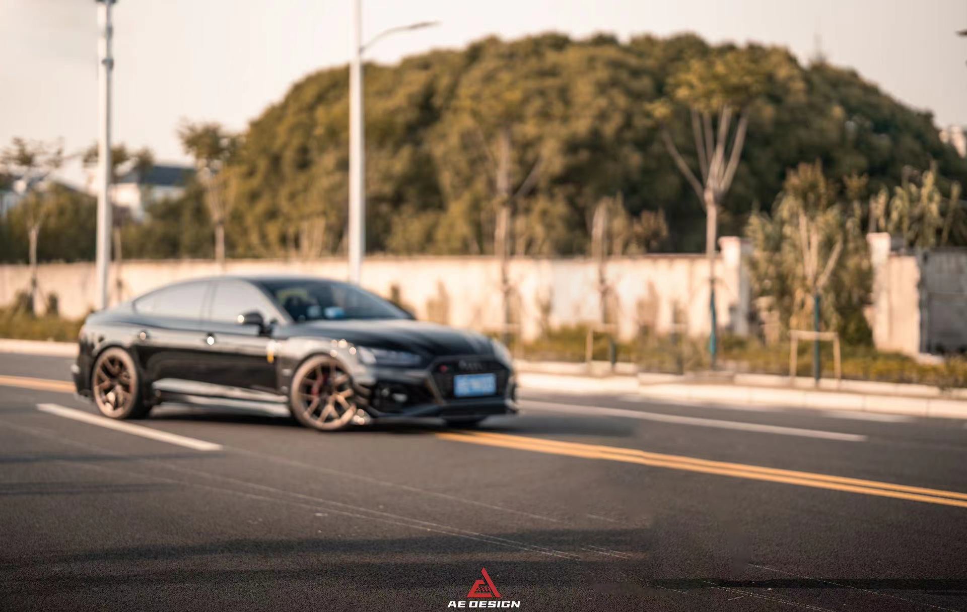 Audi RS5 B9 / B9.5 2017 2018 2019 2020 2021 2022 2023 2024?with Aftermarket Parts - AE Style?Front Fenders Carbon Fiber from ArmorExtend