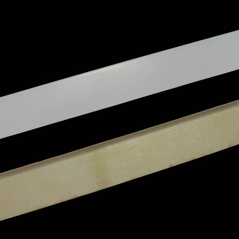 EPR Carbon Fiber WBS Style Side Skirts For 2009-ON 370Z Z34 - Performance SpeedShop