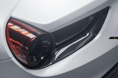 Future Design Carbon Ferrari 488 Carbon Fiber Tail Light Vents - Performance SpeedShop