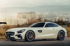 Future Design RT STYLE Carbon Fiber SIDE SKIRTS For Mercedes benz AMG GT GTS C190 2015-2017 - Performance SpeedShop