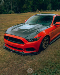 CMST Tuning Carbon Fiber Glass Transparent Hood for Ford Mustang S550.1 2015- 2017