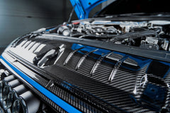 Karbel Carbon Dry Carbon Fiber Radiator Cooling Plate for Audi S4 & A4 S Line 2020-ON B9.5